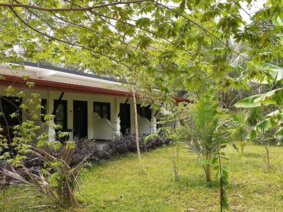 Amron Resort Sigiriya Dış mekan fotoğraf
