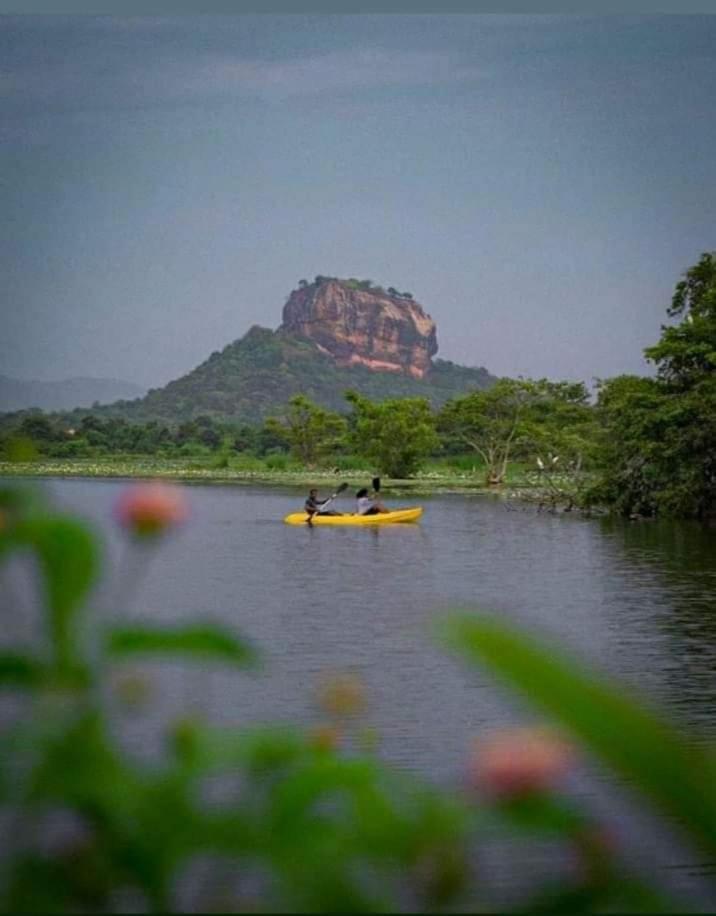 Amron Resort Sigiriya Oda fotoğraf